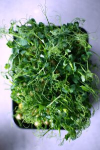 Comer vegetales para limpiar el hígado