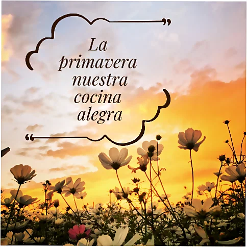 Cursos de cocina en Primavera para principiantes